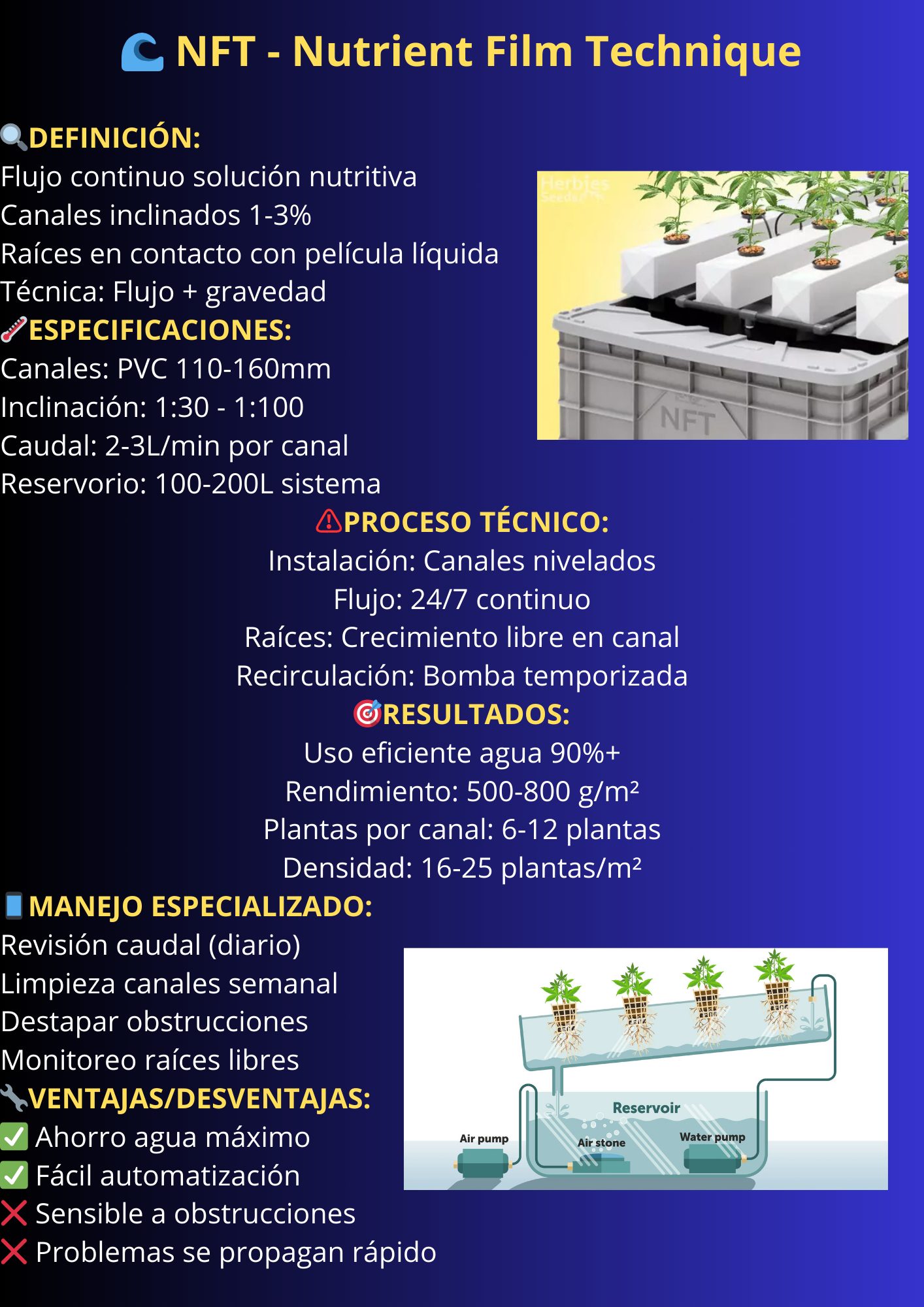 Sistema Hidropónico 2